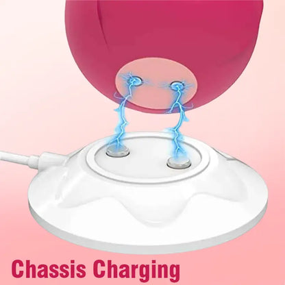 inyarose.Sex Toy Charger1