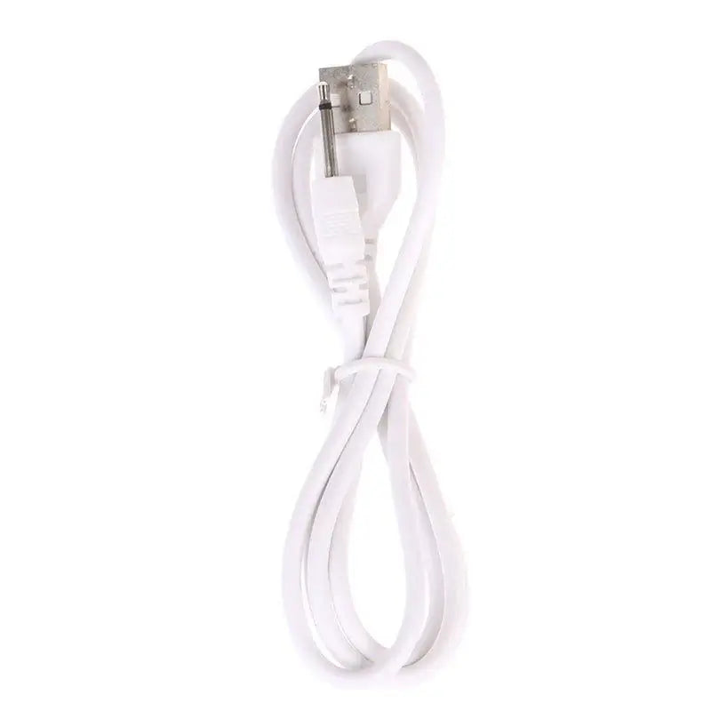 inyarose.Sex Toy Charger3