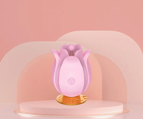 sex toy